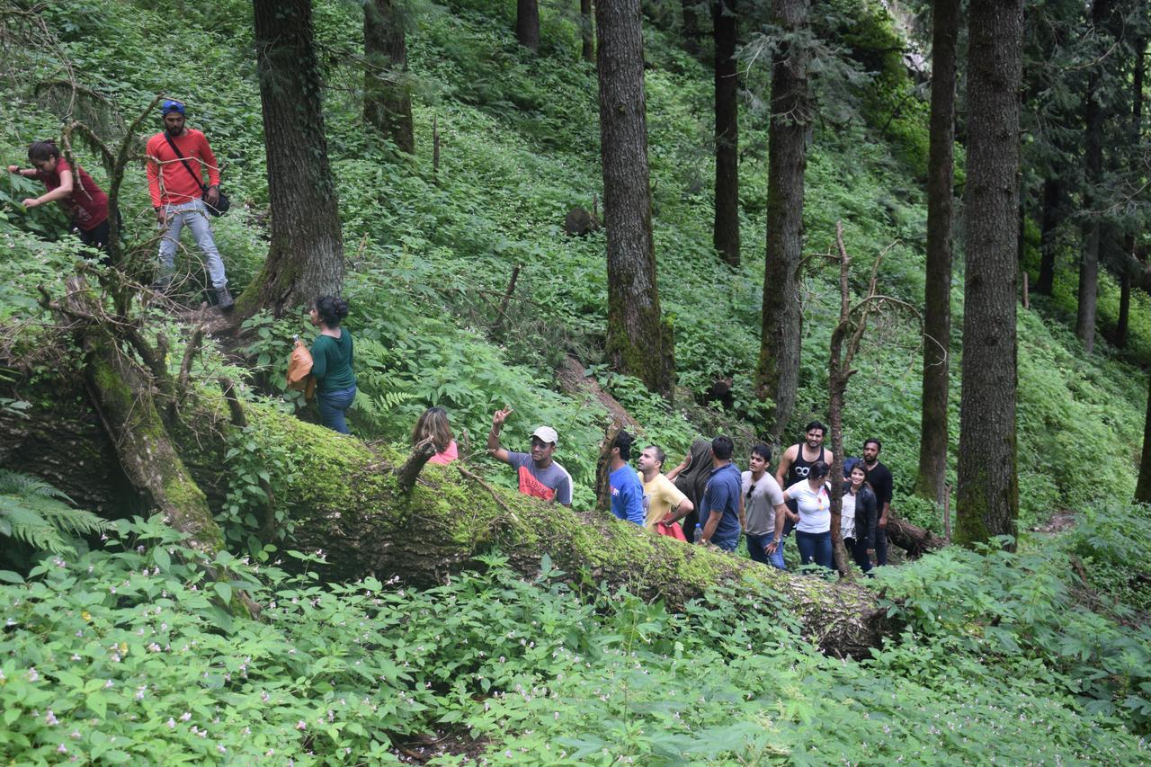 Ghughuti Resort Mussoorie Exterior foto